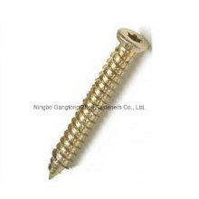 M5-M30 de Torx Socket Screw con acero al carbono